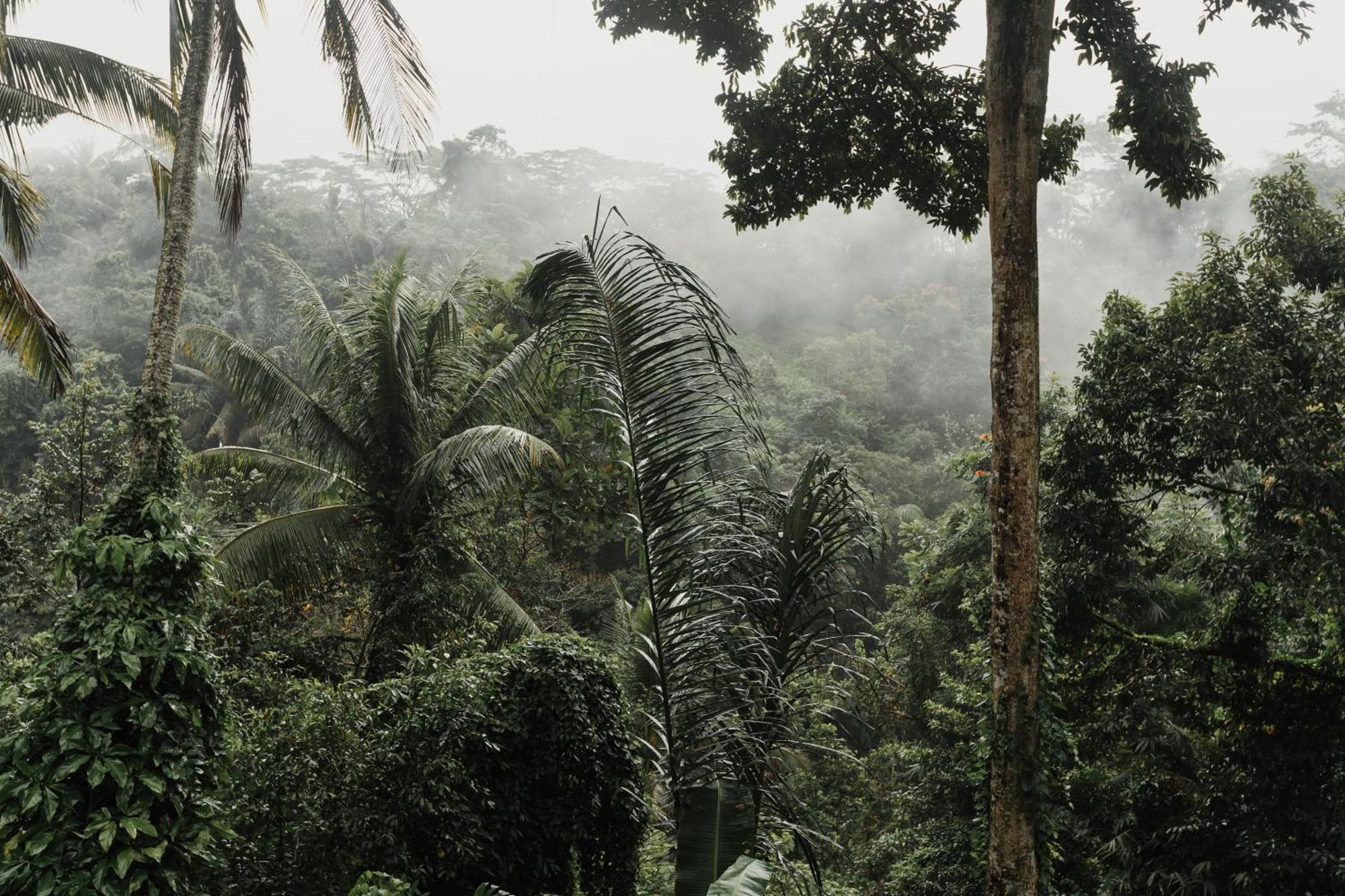 The Iyang Ubud Exteriör bild